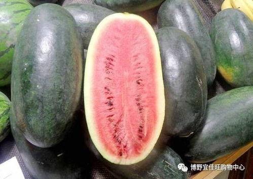 黑瓜吃料网每日爆料fun,fun每日精彩内容大盘点