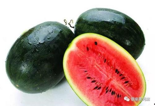 hl11cool黑料吃瓜网,网络舆论背后的真相与争议