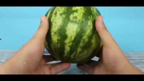 西瓜吃瓜黑料怎么做,真相与误解的碰撞