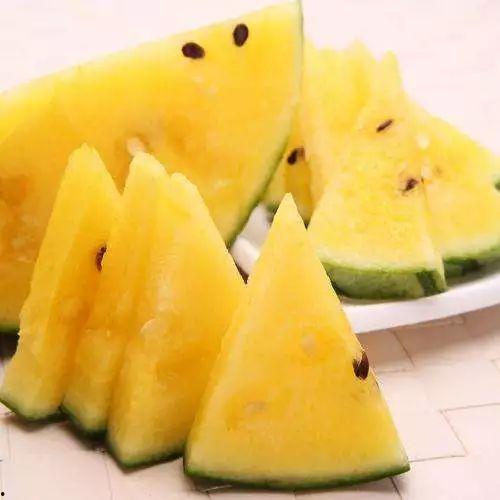 黑料吃瓜在线吃瓜朱馨宇